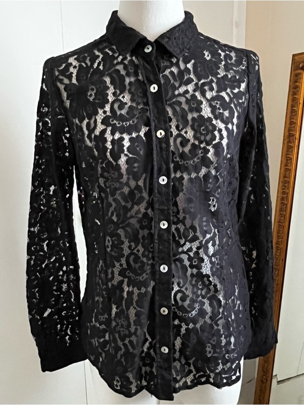 Bcbgmaxazria lace button up